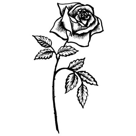 T-Shirt „Rose“